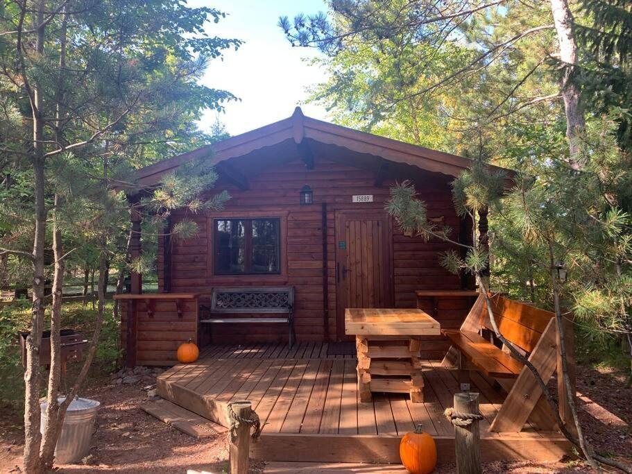 Honeybear Hideaway Cabin Hayward Eksteriør billede