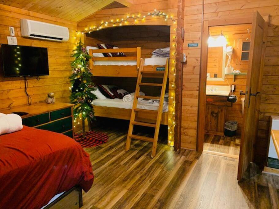 Honeybear Hideaway Cabin Hayward Eksteriør billede