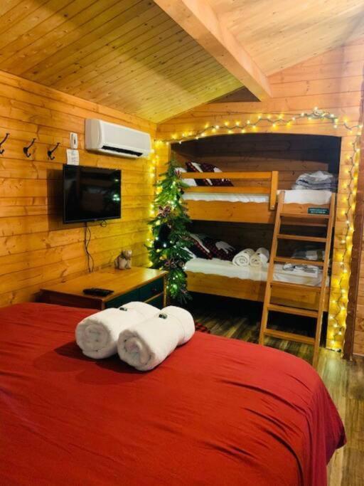 Honeybear Hideaway Cabin Hayward Eksteriør billede