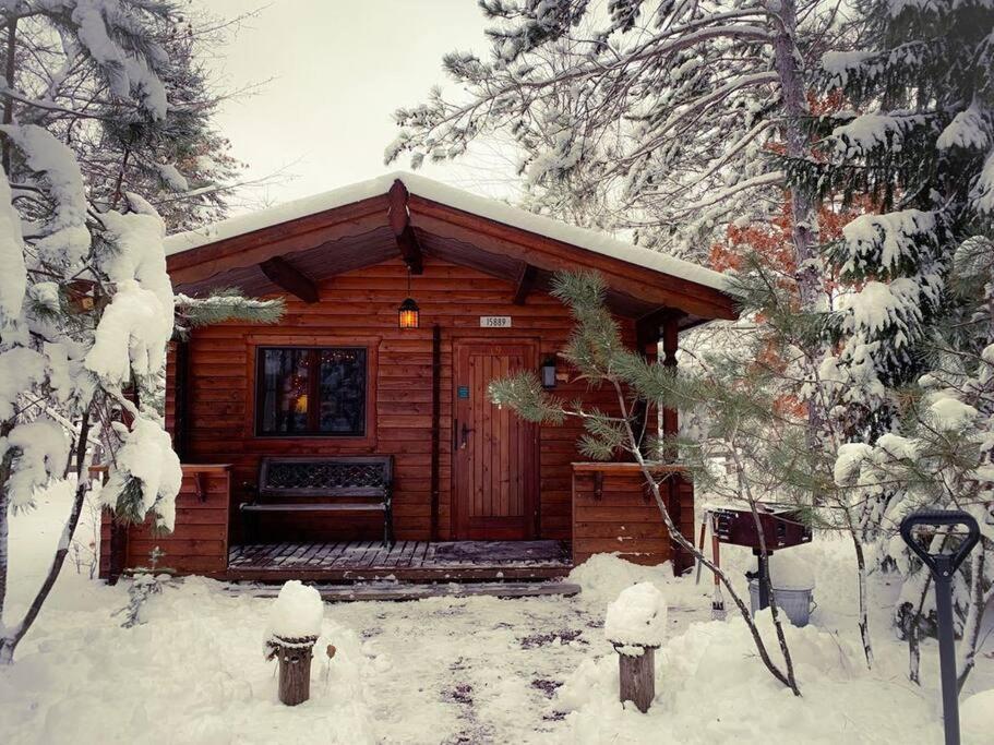 Honeybear Hideaway Cabin Hayward Eksteriør billede
