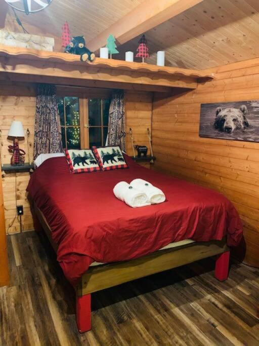 Honeybear Hideaway Cabin Hayward Eksteriør billede