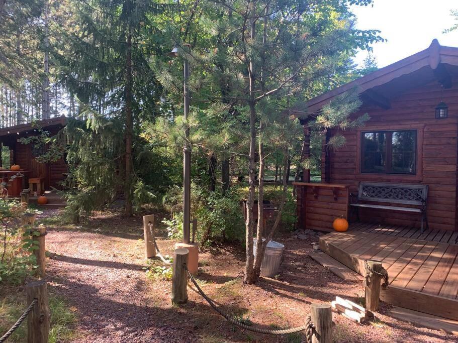 Honeybear Hideaway Cabin Hayward Eksteriør billede