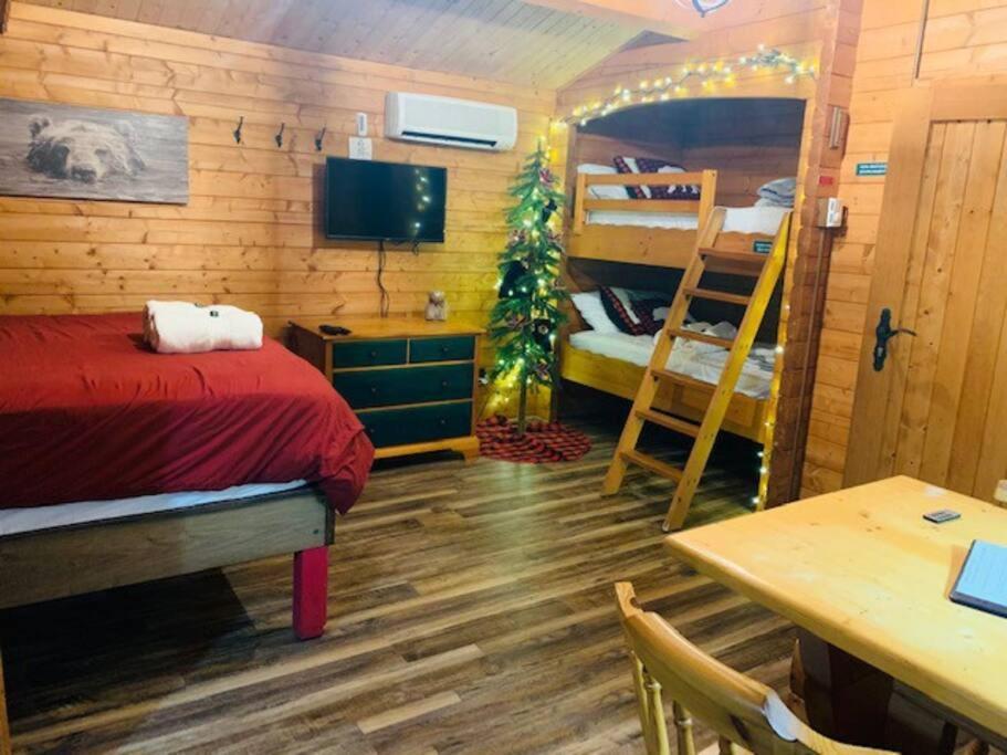 Honeybear Hideaway Cabin Hayward Eksteriør billede