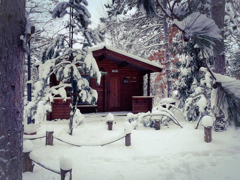 Honeybear Hideaway Cabin Hayward Eksteriør billede