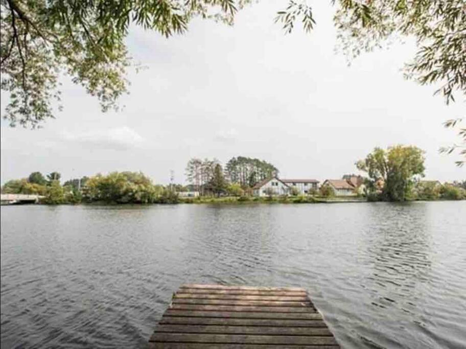 Honeybear Hideaway Cabin Hayward Eksteriør billede