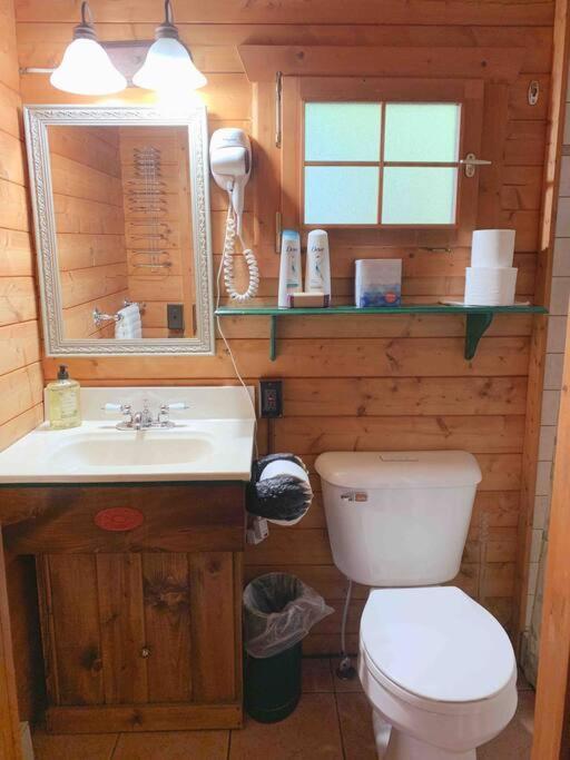 Honeybear Hideaway Cabin Hayward Eksteriør billede