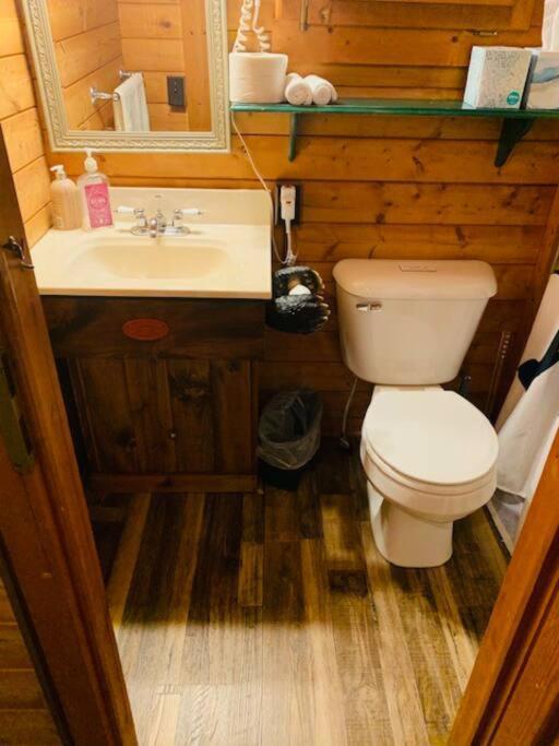 Honeybear Hideaway Cabin Hayward Eksteriør billede