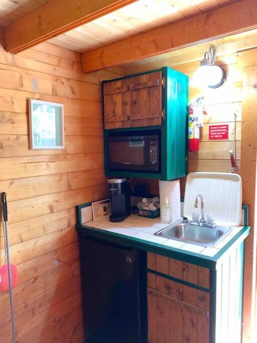 Honeybear Hideaway Cabin Hayward Eksteriør billede