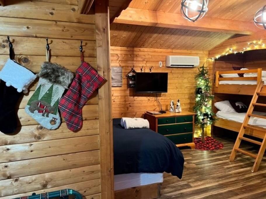 Honeybear Hideaway Cabin Hayward Eksteriør billede
