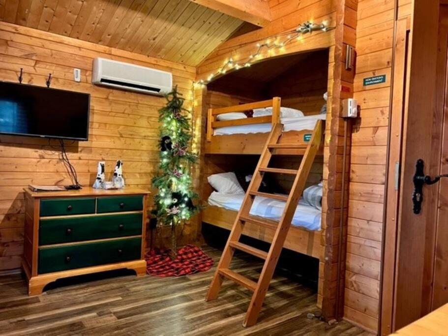 Honeybear Hideaway Cabin Hayward Eksteriør billede